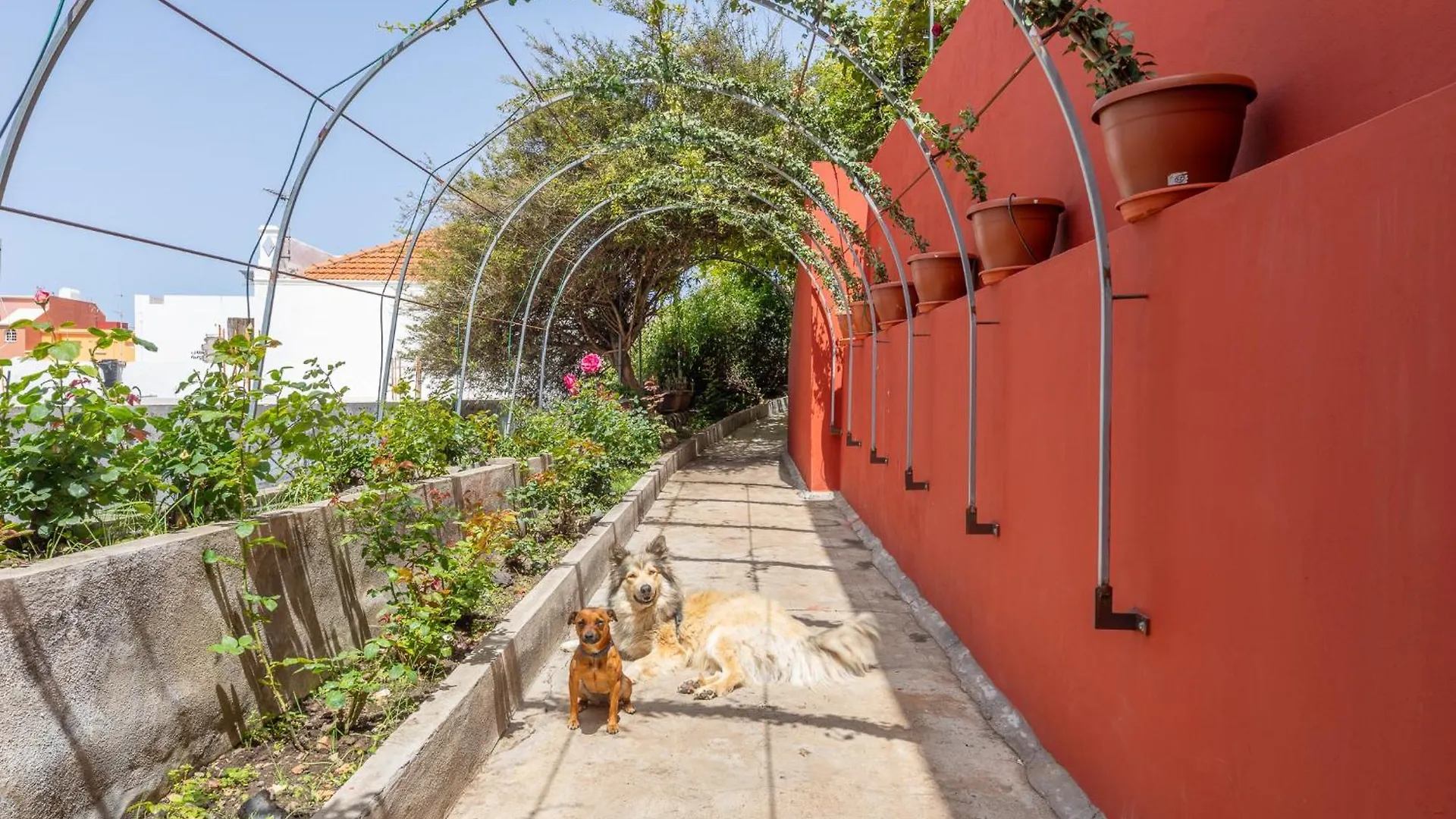 Casa Jurado Hostel El Paso